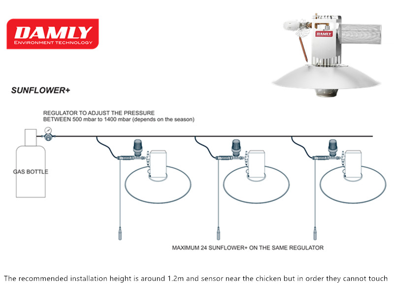 SUNFLOWER infrared gas brooder